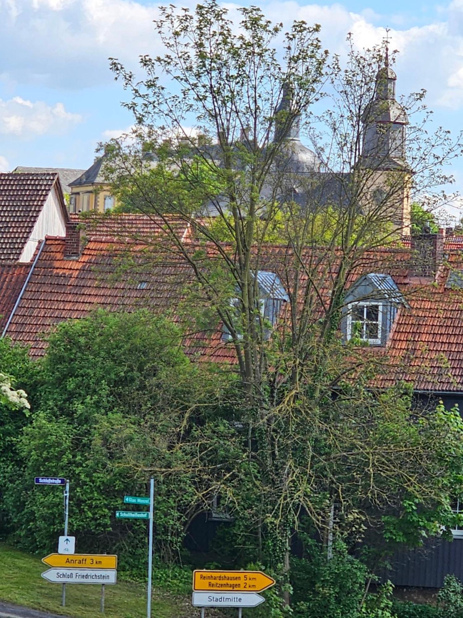 Medina Apartment Bad Wildungen